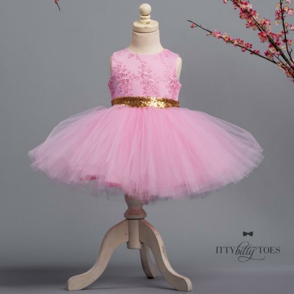 Itty Bitty Toes Couture Dress Size 1 (12 months)